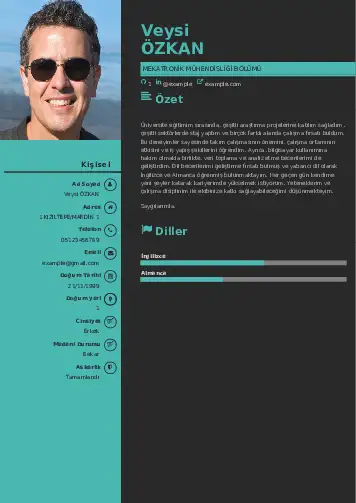 Mekatronik Mühendisliği Cv Örnekleri cv indir